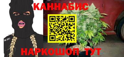 шишки Кингисепп
