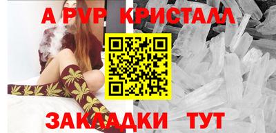 шишки Кингисепп