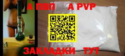 шишки Кингисепп