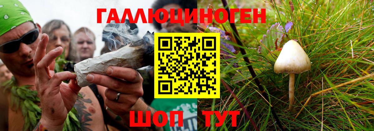 Псилоцибиновые грибы ЛСД Краснодар