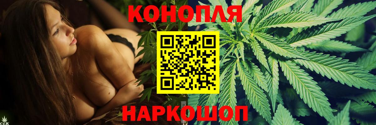 Шишки марихуана план  Каннабис планчик  Краснодар  Вход с VPN  Бошки Шишки семена  Шишки марихуана семена 